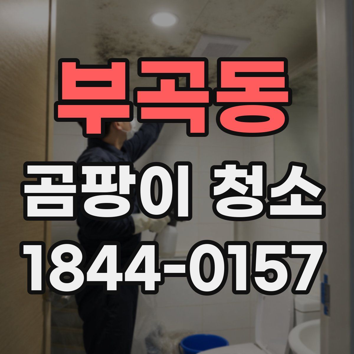 부곡동 곰팡이 청소