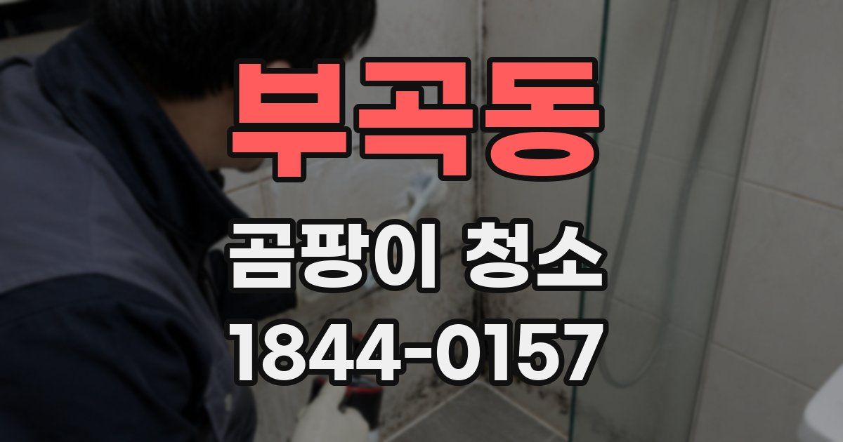 부곡동 곰팡이 청소