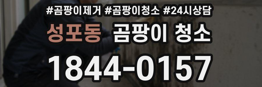 성포동 곰팡이 청소
