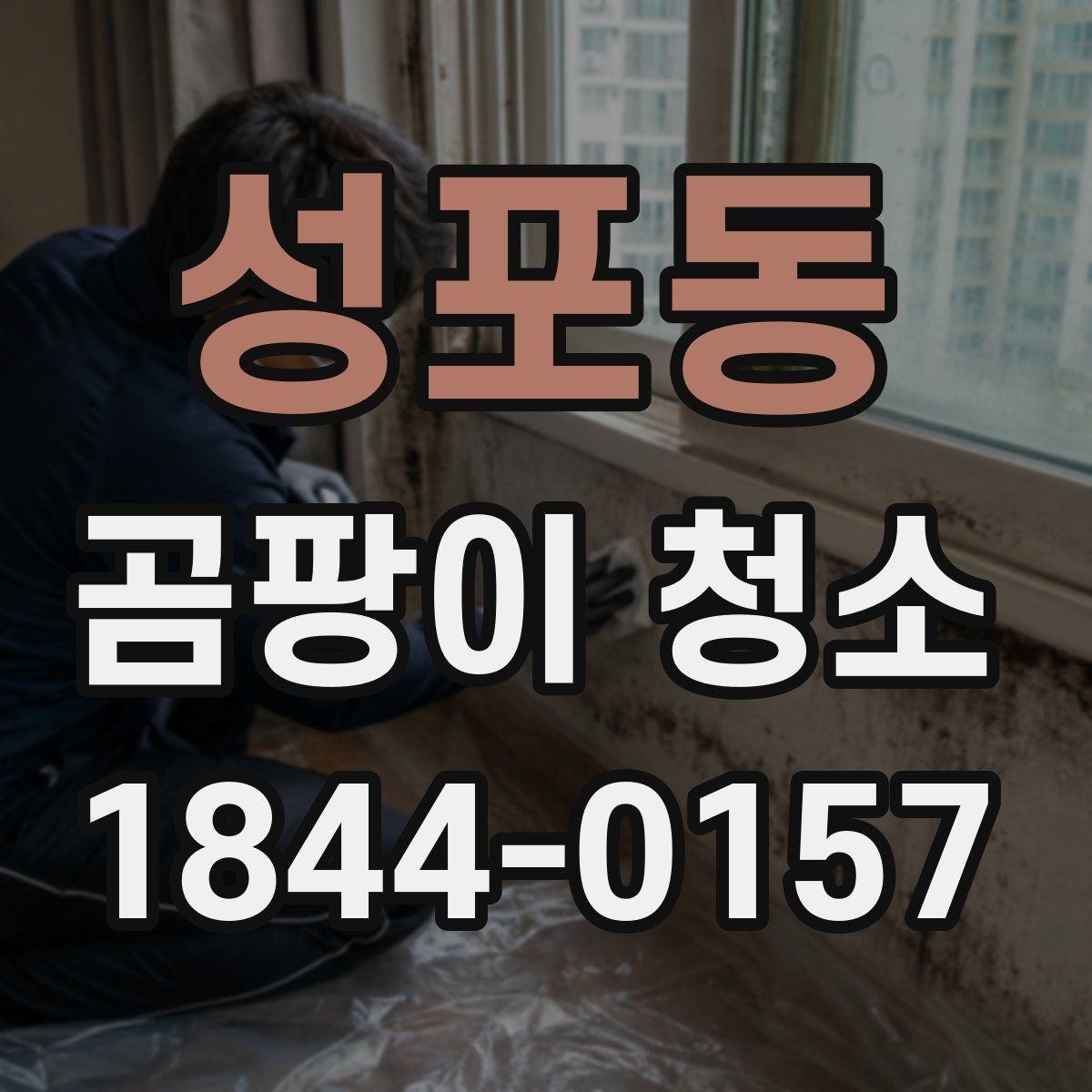 성포동 곰팡이 청소