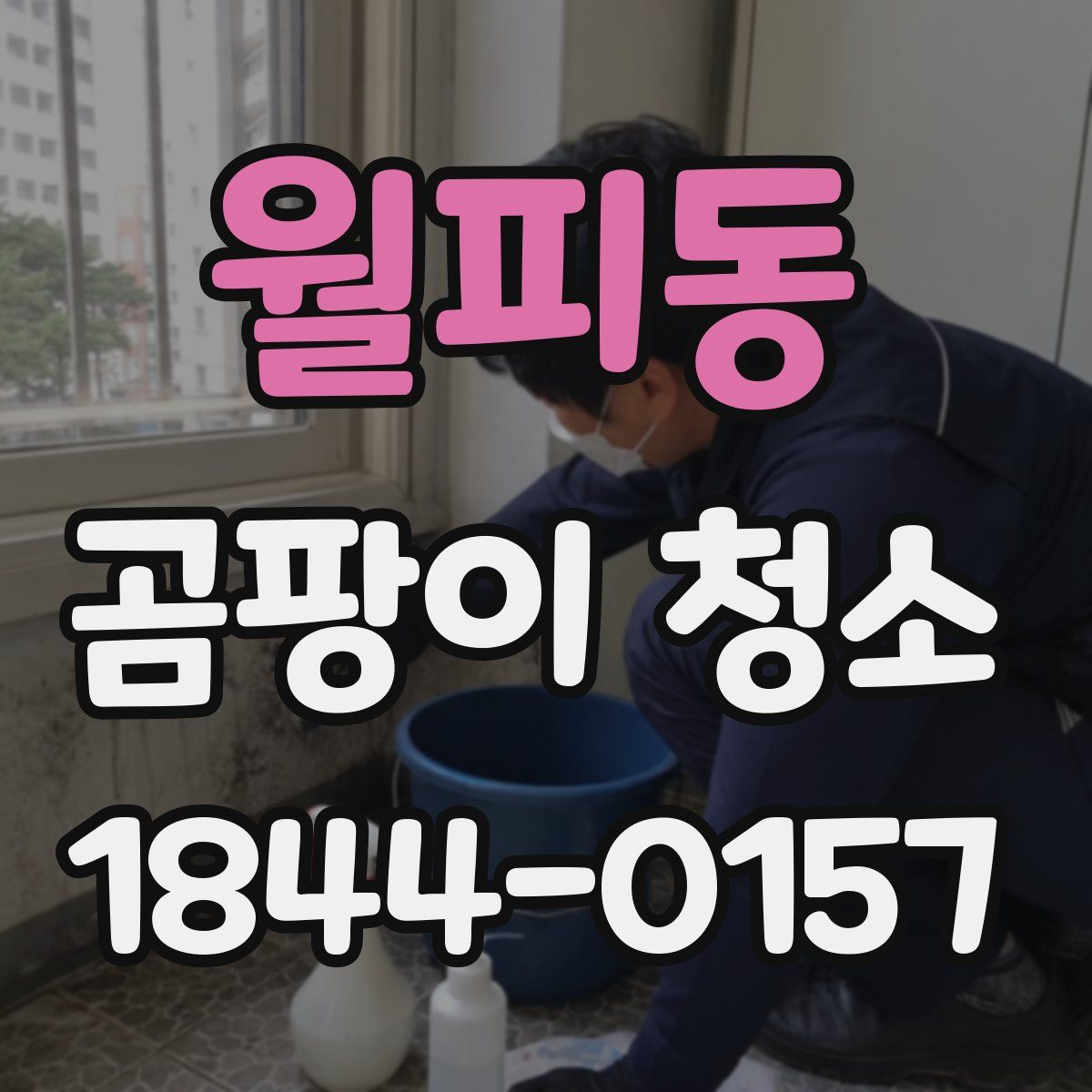 월피동 곰팡이 청소