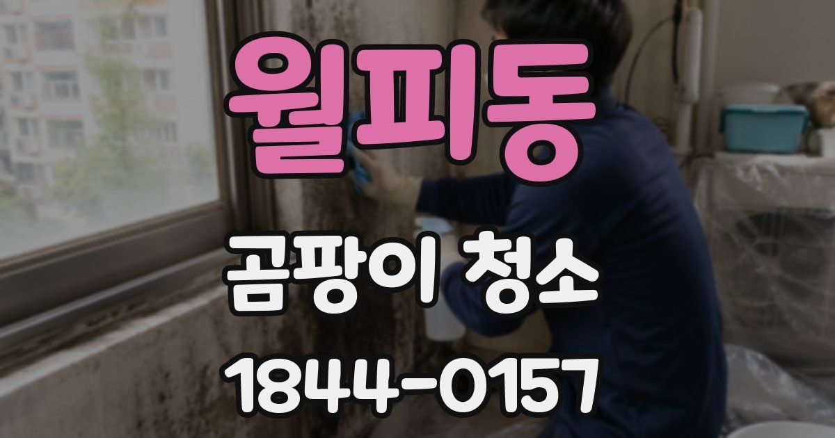 월피동 곰팡이 청소