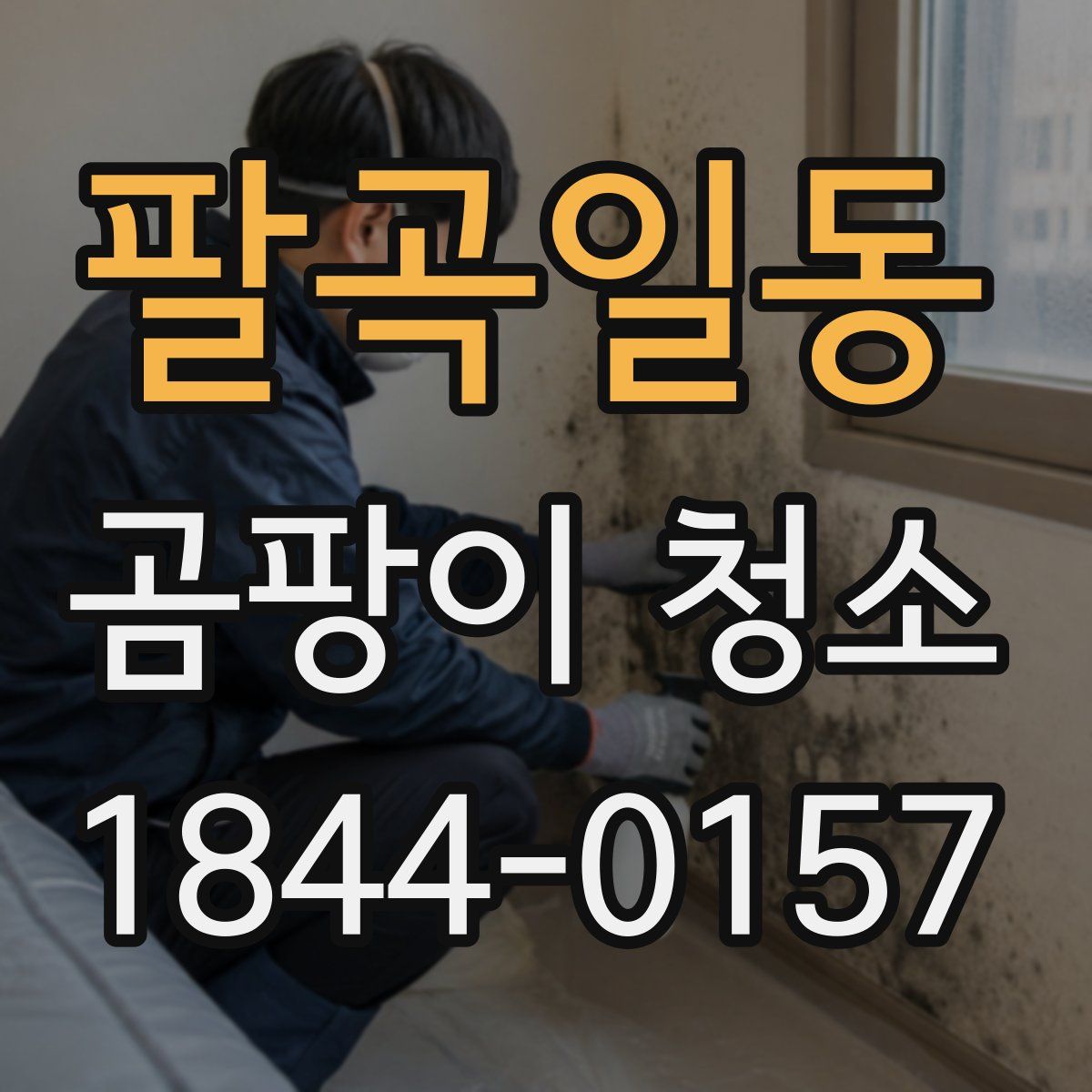 팔곡일동 곰팡이 청소