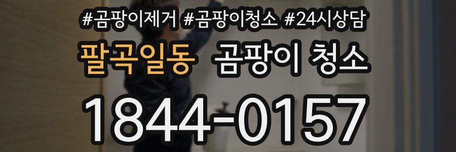 팔곡일동 곰팡이 청소
