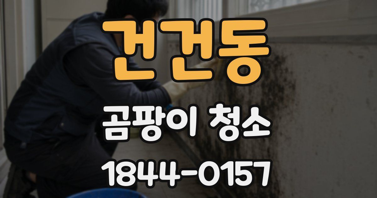 건건동 곰팡이 청소