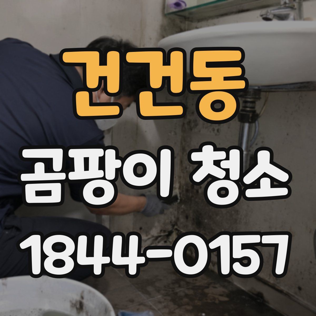 건건동 곰팡이 청소