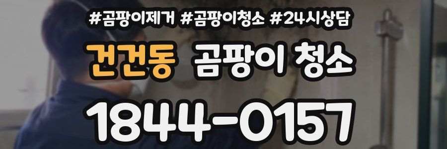 건건동 곰팡이 청소