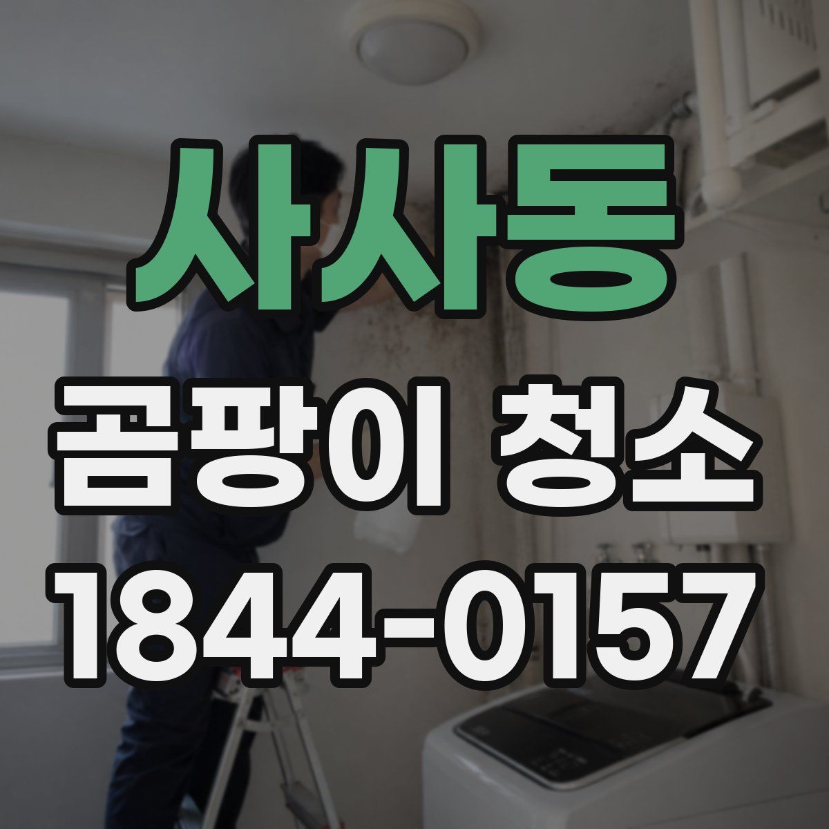 사사동 곰팡이 청소