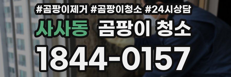 사사동 곰팡이 청소