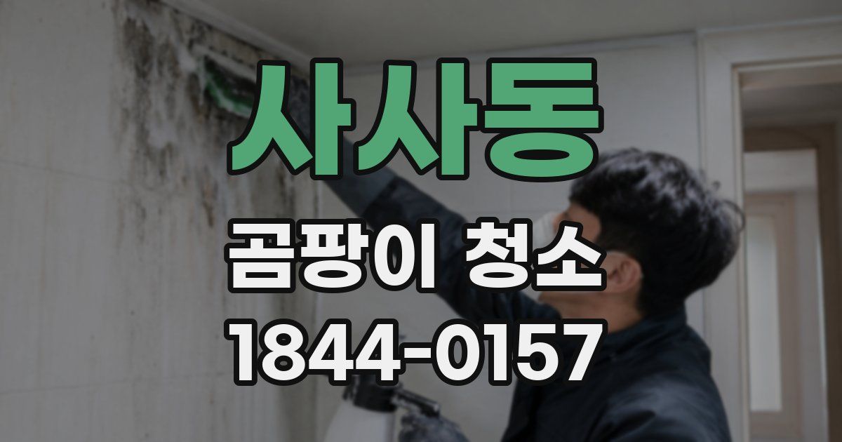 사사동 곰팡이 청소