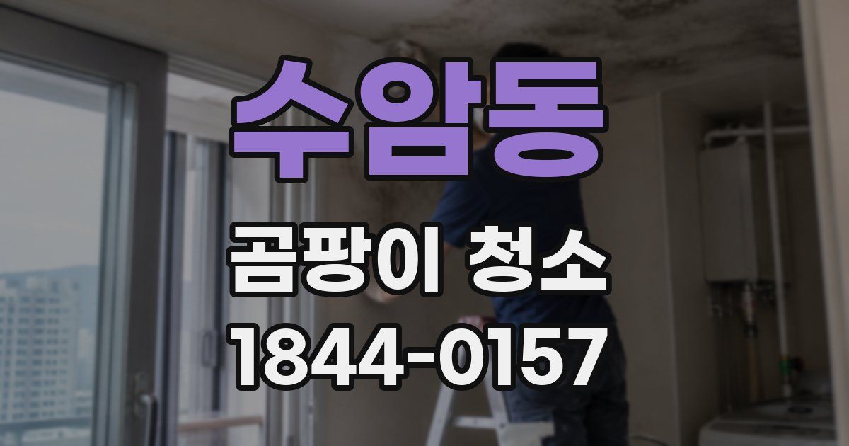 수암동 곰팡이 청소