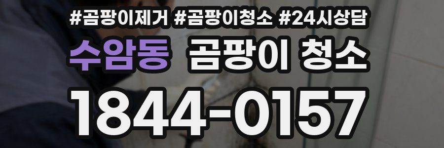 수암동 곰팡이 청소
