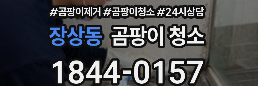 장상동 곰팡이 청소