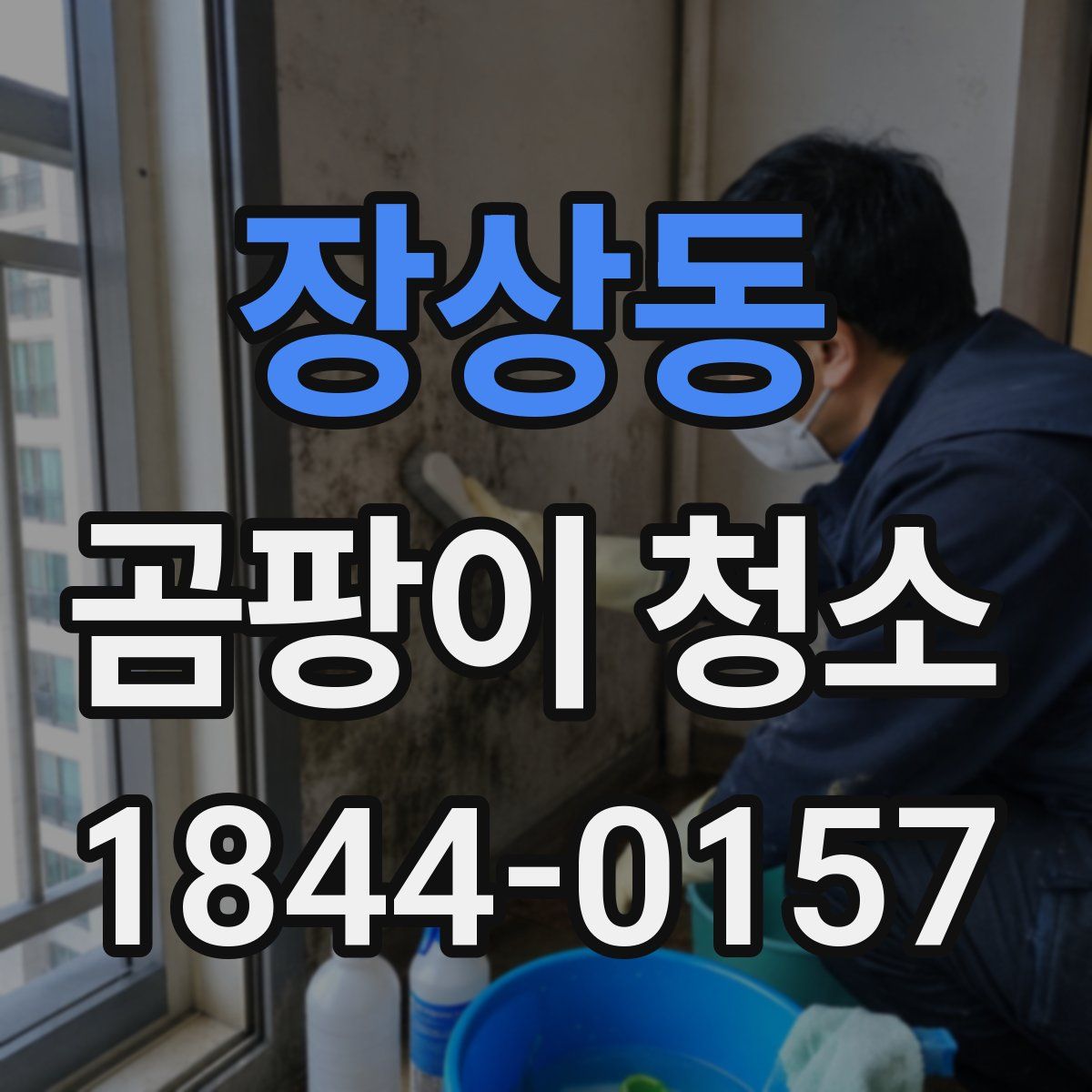 장상동 곰팡이 청소