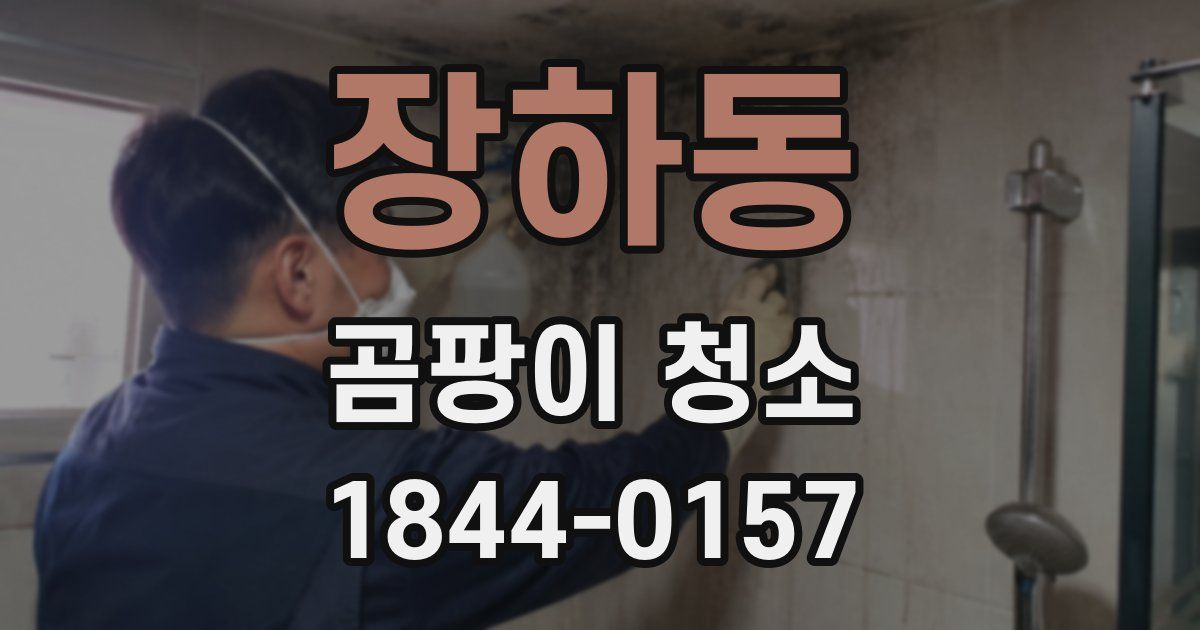 장하동 곰팡이 청소