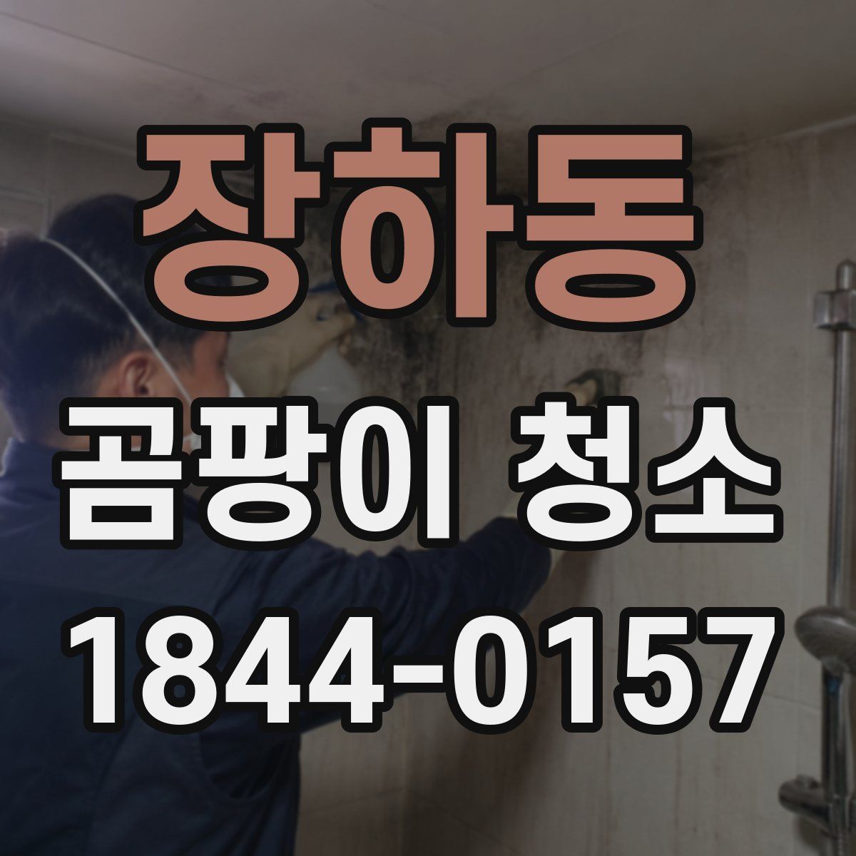 장하동 곰팡이 청소