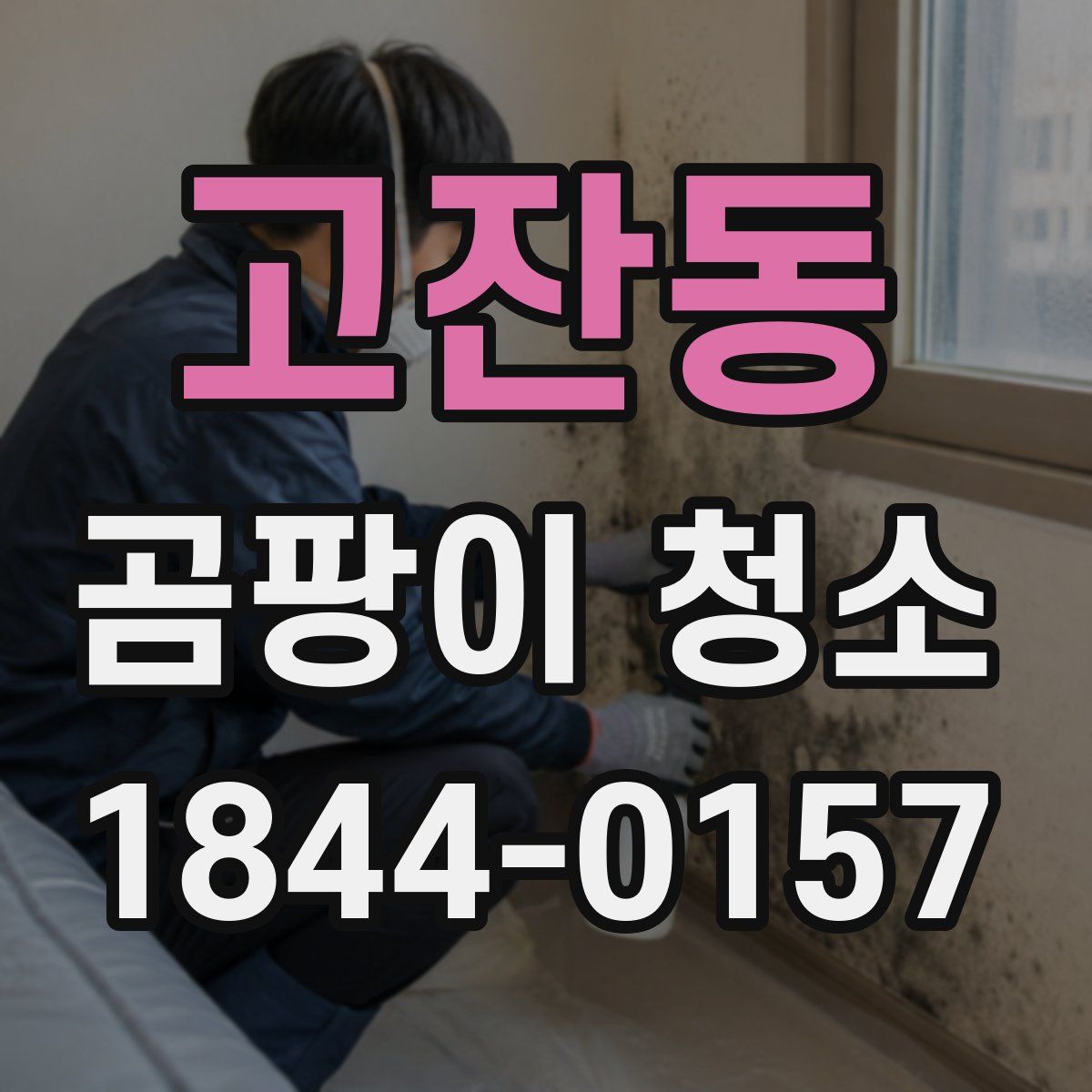 고잔동 곰팡이 청소