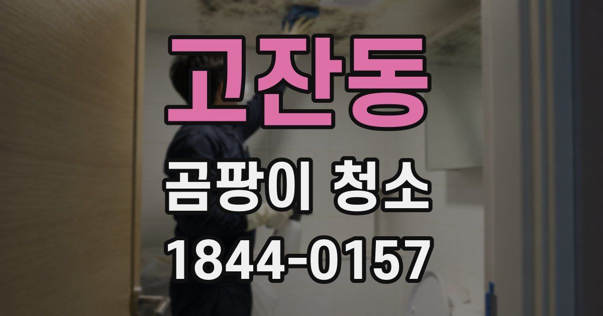 고잔동 곰팡이 청소