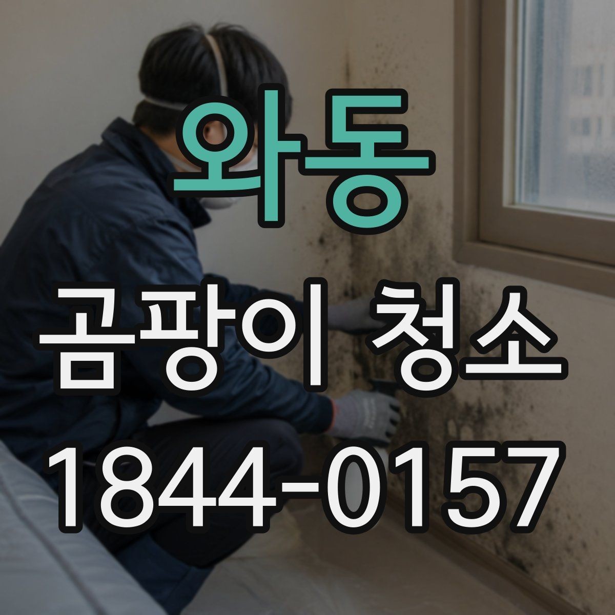 와동 곰팡이 청소 천장 몰딩 주변 자국을 정리할 때 먼저 볼 것