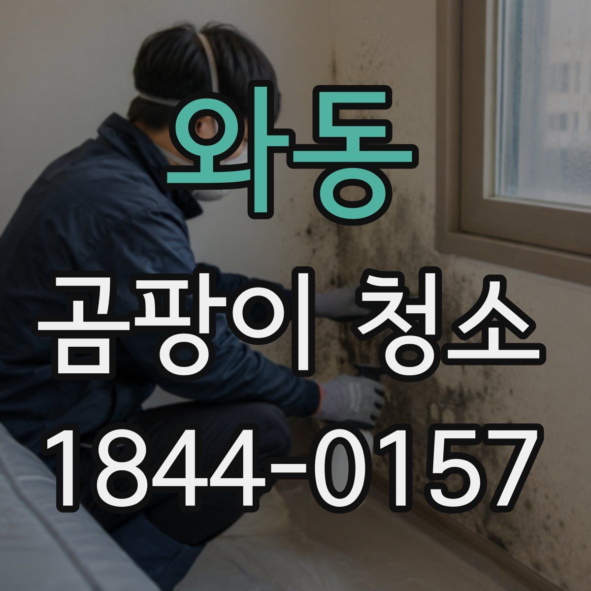 와동 곰팡이 청소