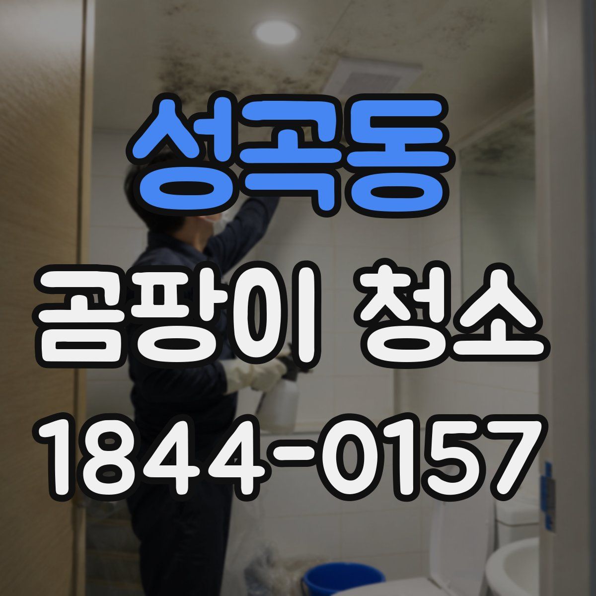 성곡동 곰팡이 청소