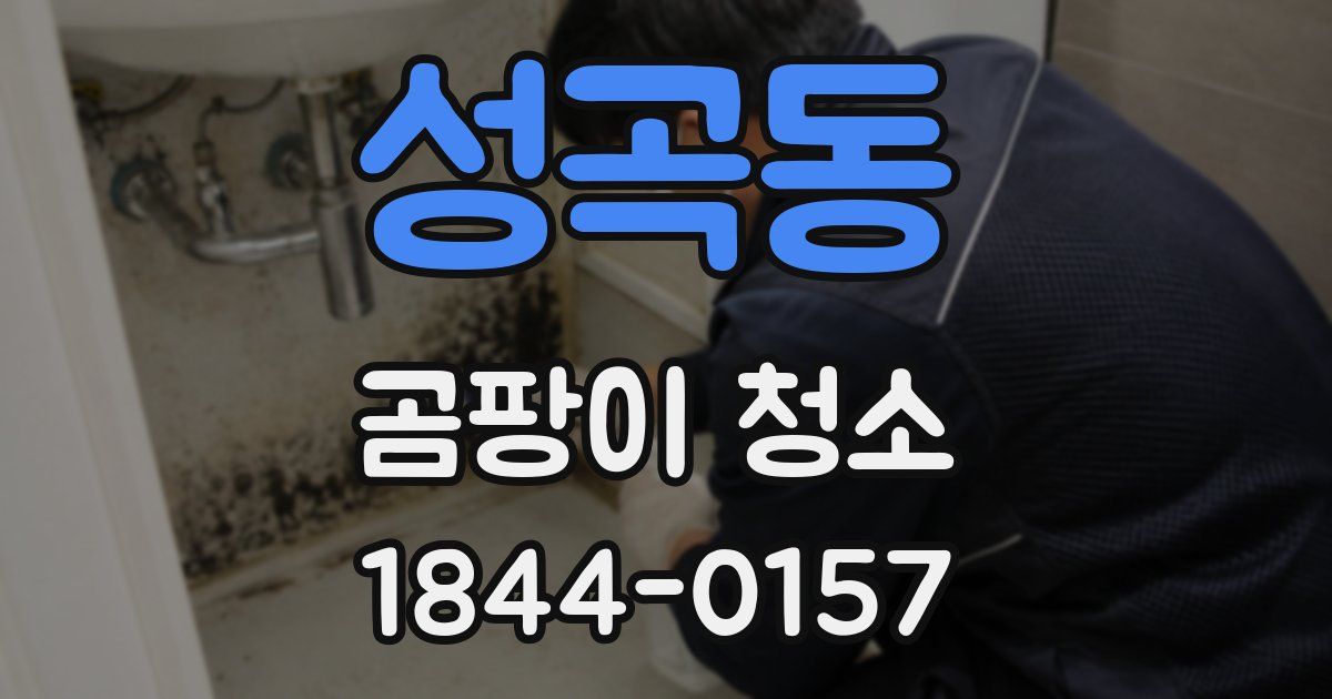 성곡동 곰팡이 청소