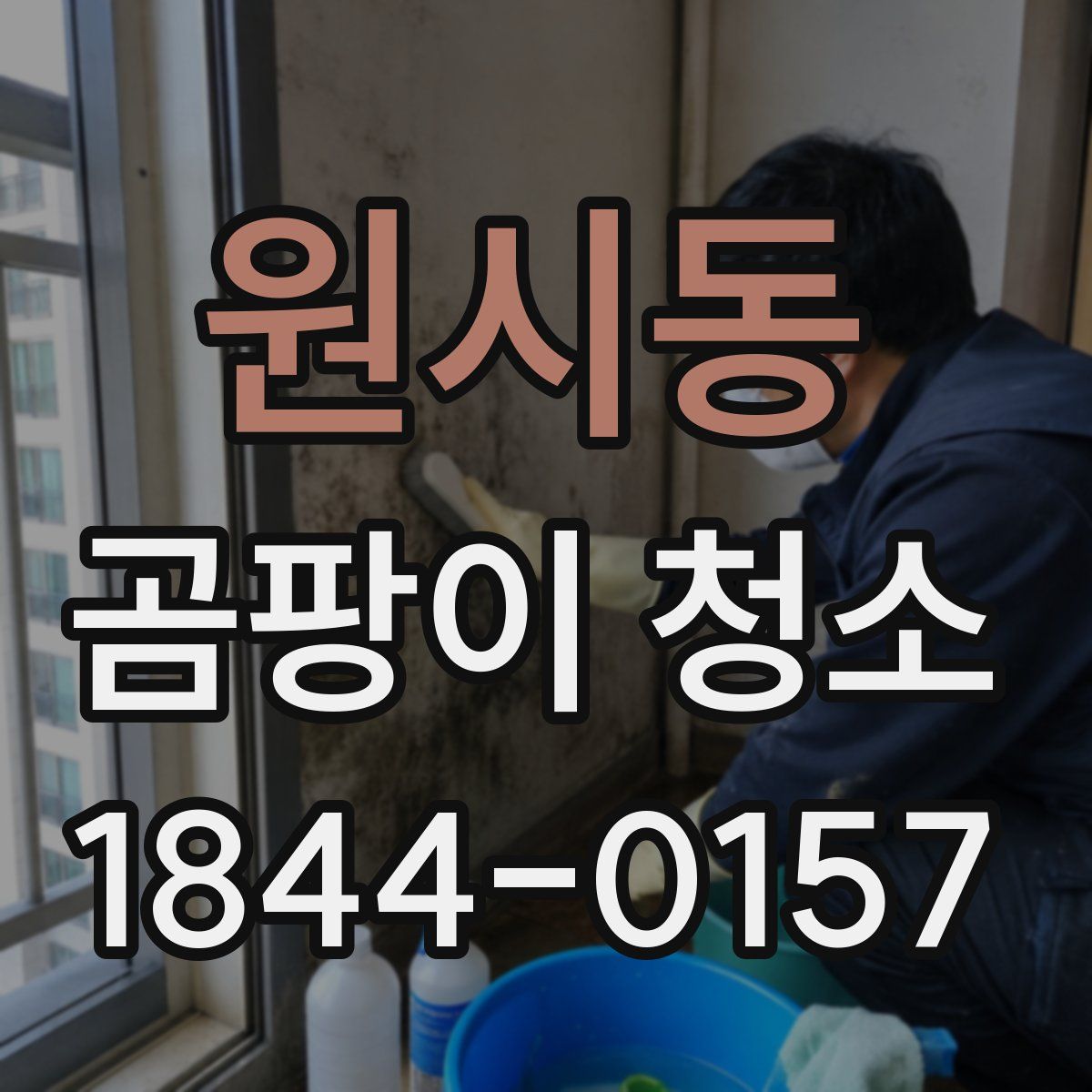 원시동 곰팡이 청소