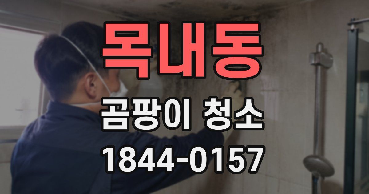 목내동 곰팡이 청소