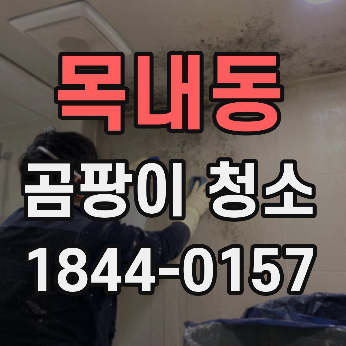 목내동 곰팡이 청소