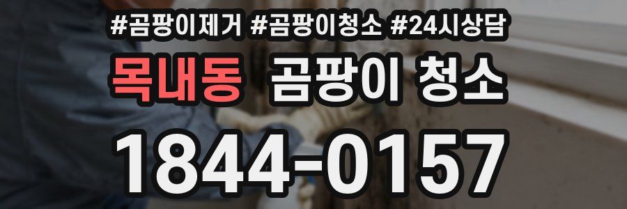 목내동 곰팡이 청소