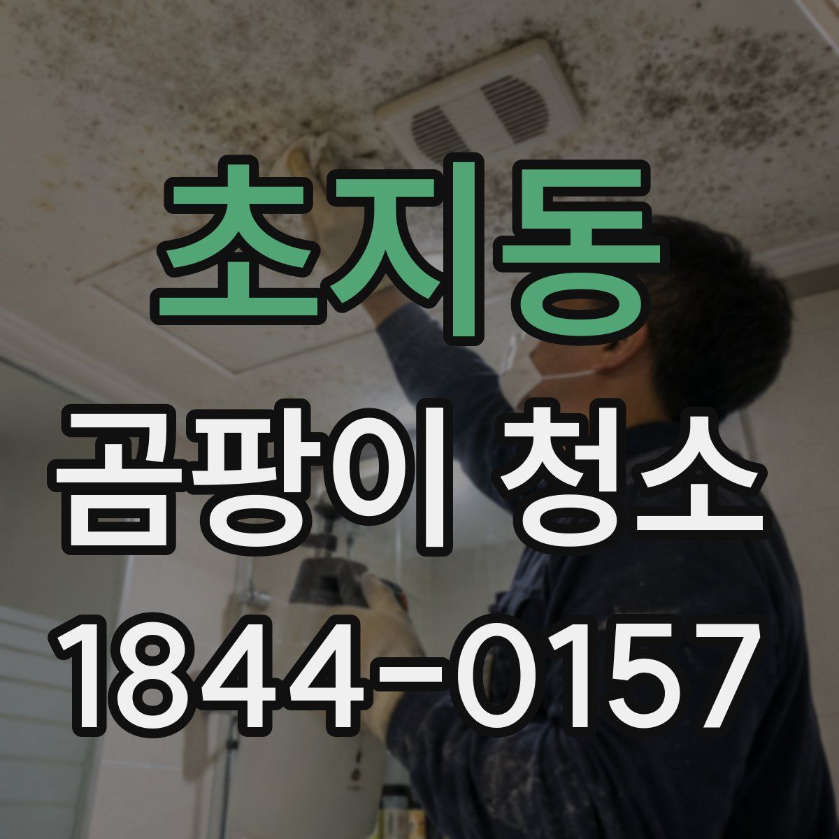 초지동 곰팡이 청소