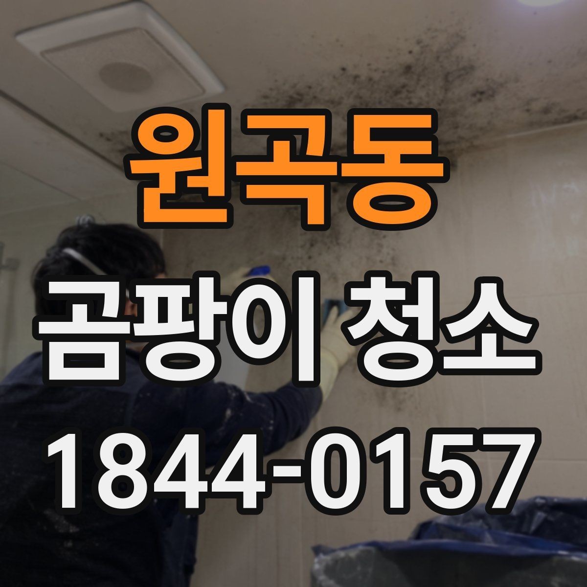 원곡동 곰팡이 청소 베란다 세척 전후로 챙길 준비 목록