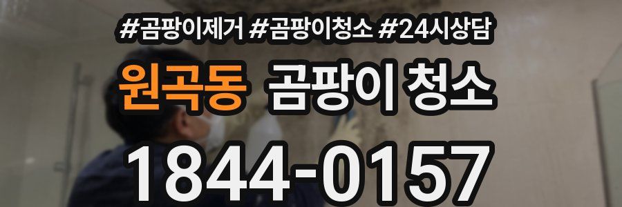 원곡동 곰팡이 청소