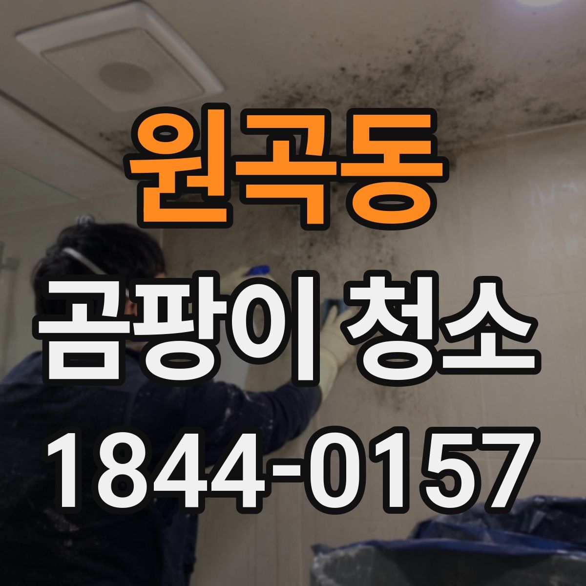 원곡동 곰팡이 청소
