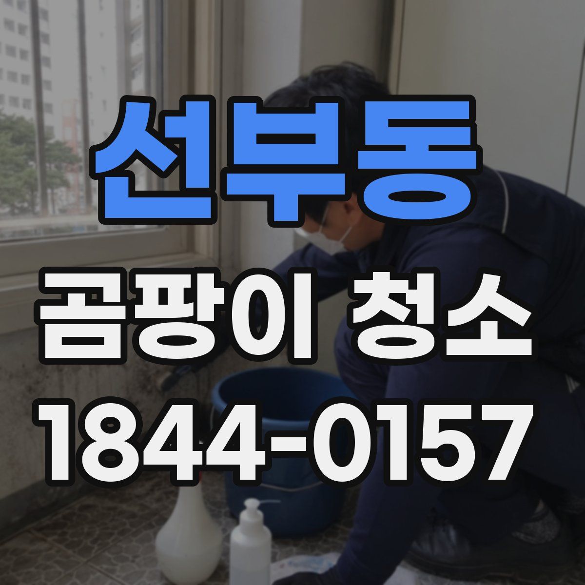 선부동 곰팡이 청소