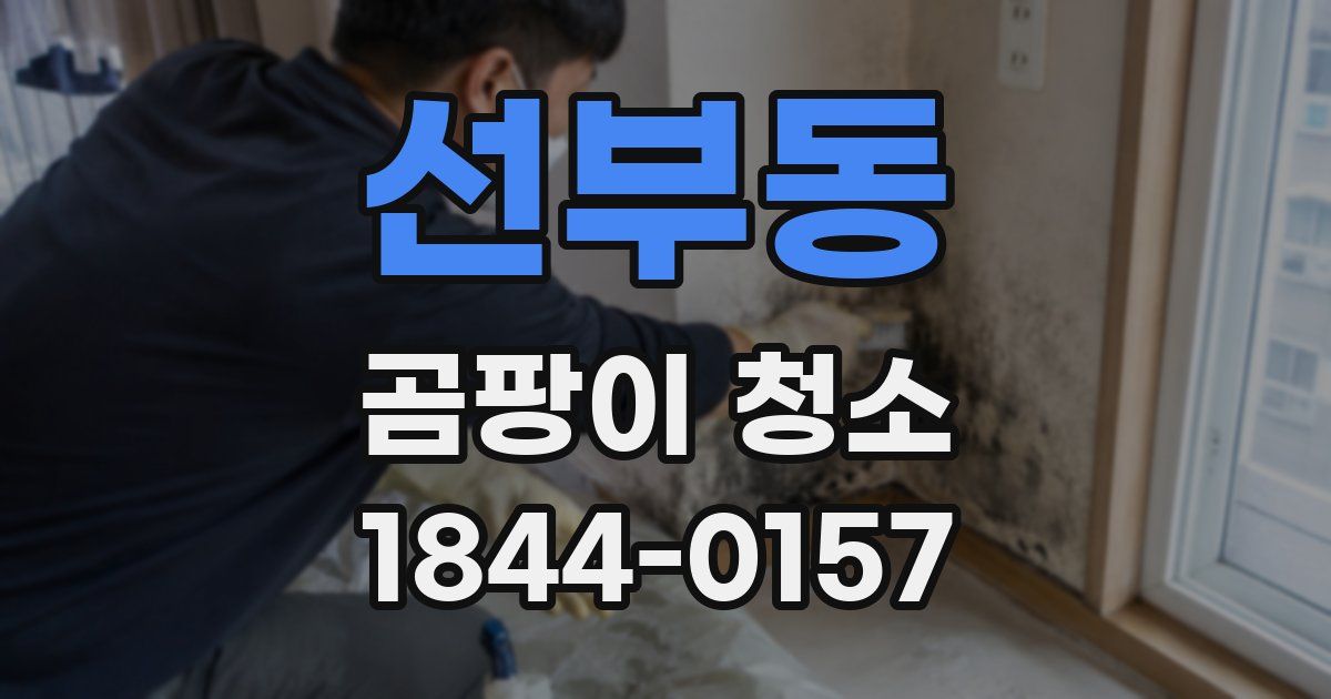 선부동 곰팡이 청소