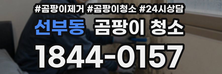 선부동 곰팡이 청소