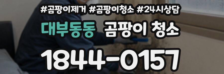 대부동동 곰팡이 청소
