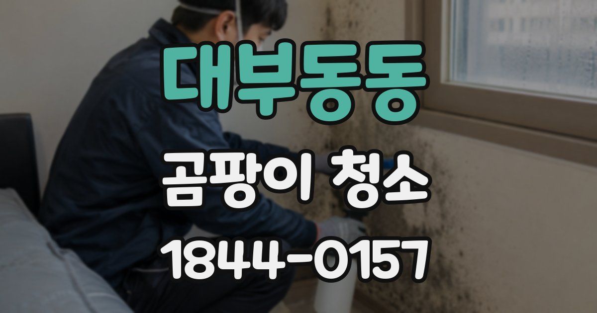 대부동동 곰팡이 청소