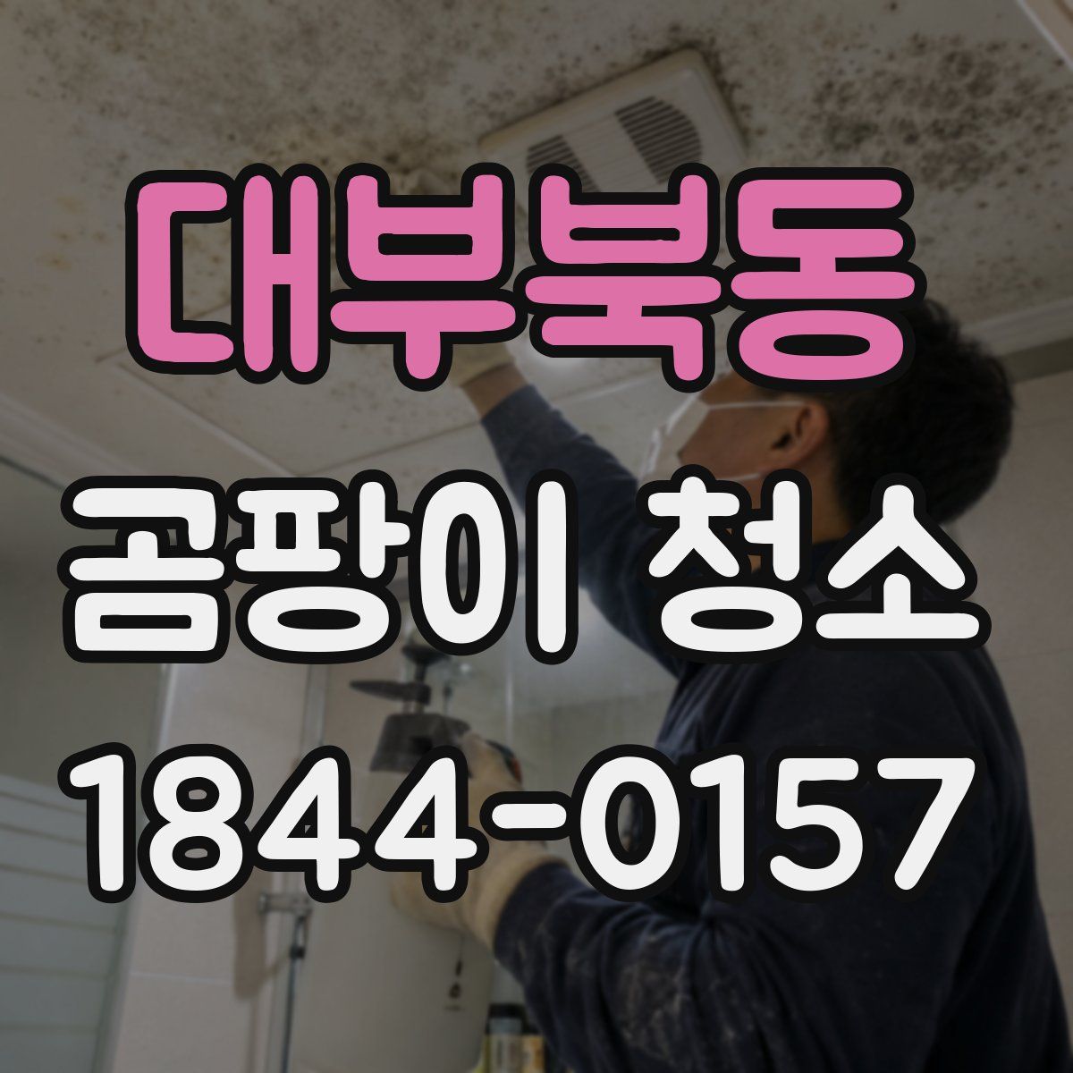 대부북동 곰팡이 청소