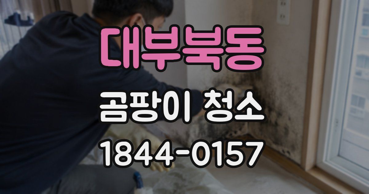 대부북동 곰팡이 청소