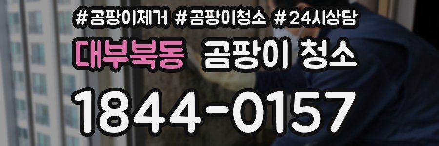 대부북동 곰팡이 청소