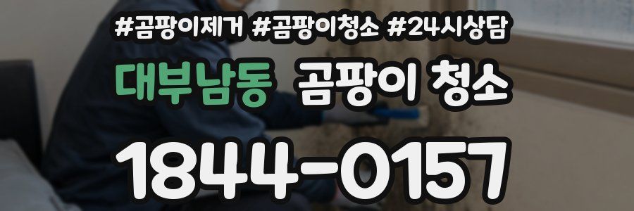 대부남동 곰팡이 청소