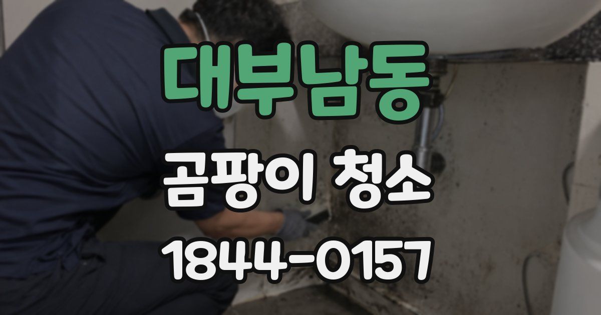 대부남동 곰팡이 청소