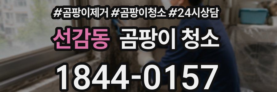 선감동 곰팡이 청소