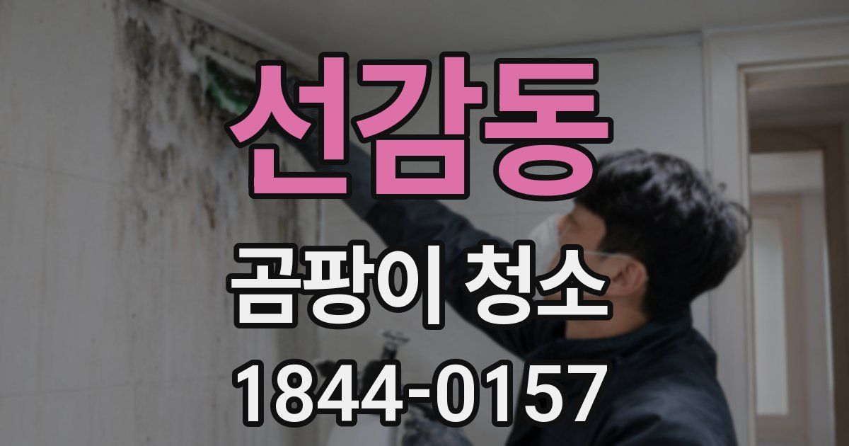 선감동 곰팡이 청소