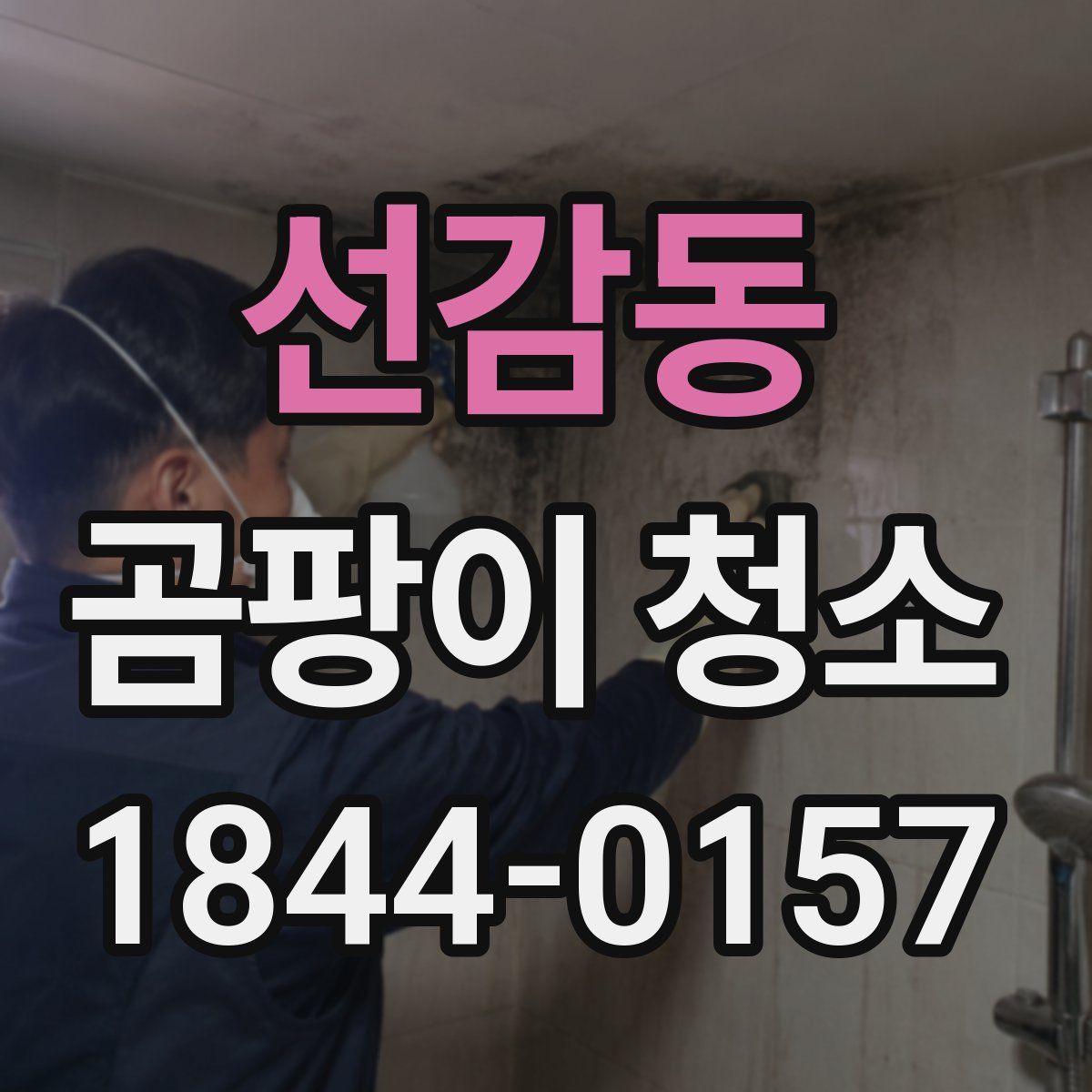 선감동 곰팡이 청소