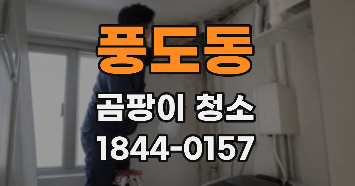 풍도동 곰팡이 청소