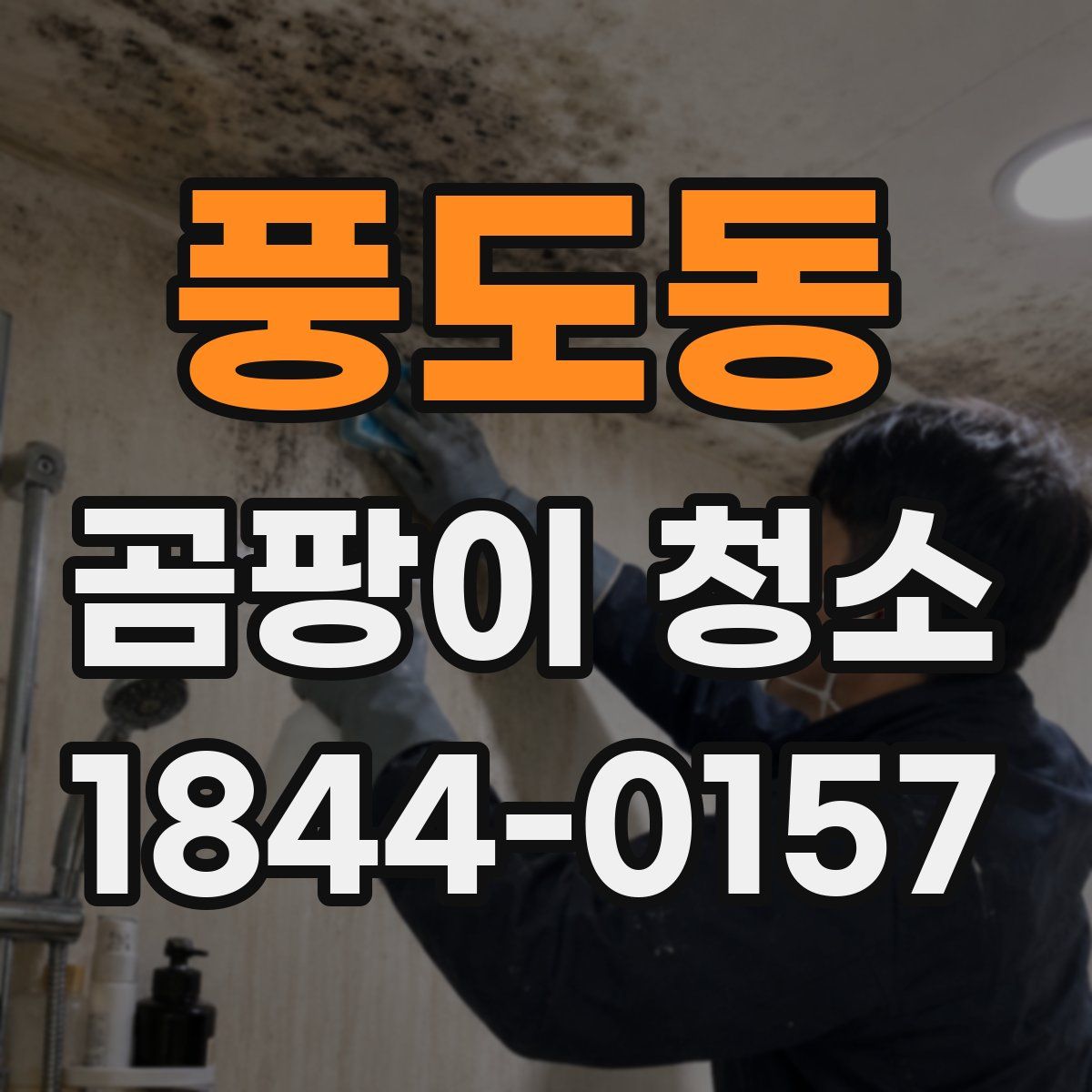 풍도동 곰팡이 청소