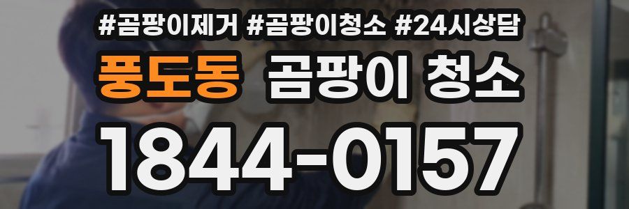 풍도동 곰팡이 청소